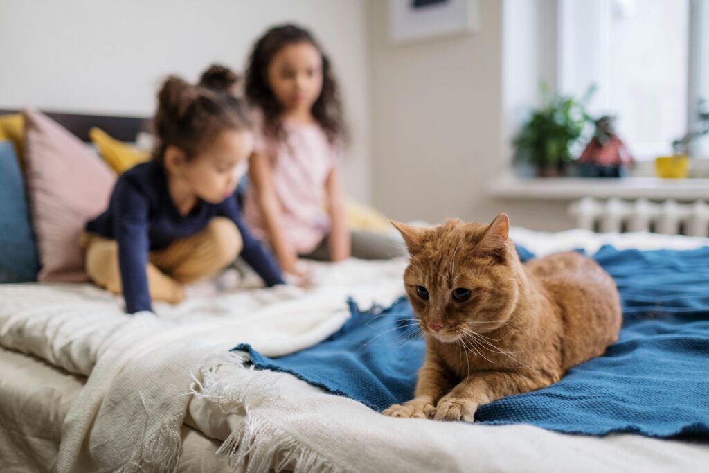 Child & Pet Cat sat on a bed